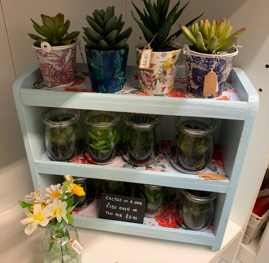 Cacti in a Jar/Decoupaged Bucket