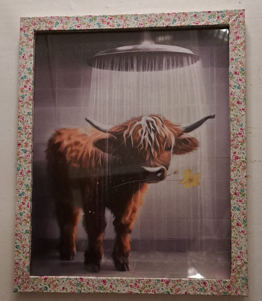 Moo in the Shower